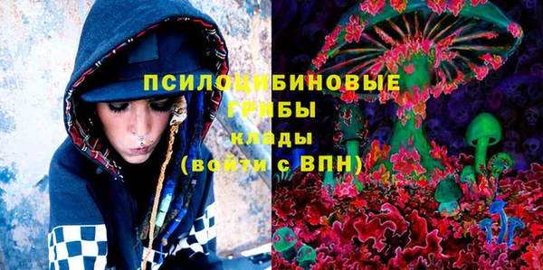 индика Алексеевка