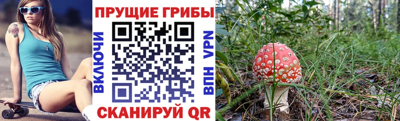 где купить наркоту  Лиски  MEGA ONION  Псилоцибиновые грибы ЛСД 